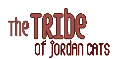 the Tribe of Jordan Cats